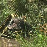 William Mark Dubberly - @markdubberly - Instagram