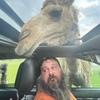williamdubberly82 - @williamdubberly82 - TikTok