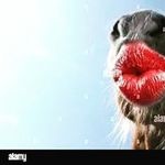 william - @william_dubuc_le_bg - Instagram