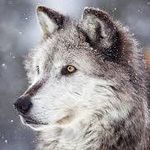 William Dubuc - @william.dubuc.775 - Instagram