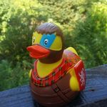Sir William Duck - @sirwilliamduck - Instagram