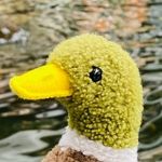 William Duck - @williamdaduck - Instagram