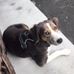 William Dudding - Facebook