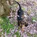 William Dudding - Facebook