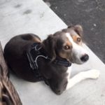 William Dudding - @william.dudding - Instagram