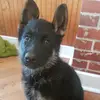 William_dumais2 - @william_dumais2 - TikTok