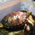 William Dumais - @william.dumais.50 - Instagram
