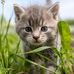 William Dumais - Facebook