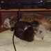 William Dunigan - Facebook