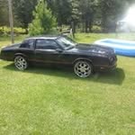 William Dunigan - @williamdunigan - Instagram