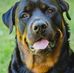 William Dunkle - Facebook