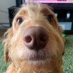 william durocher - @durocherrrr - Instagram