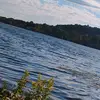 William Durr - @william.durr1 - TikTok