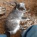 William Durrett - Facebook