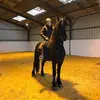 Will Durston - @willdurston - TikTok