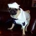 William Duthie - Facebook