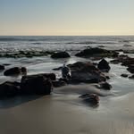 William Le - @william_duy_ - Instagram