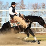 Jess William Dyck - @2jranchhorses - Instagram