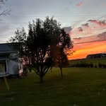 William van Dyke - @william.vandyke.75 - Instagram