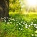 William Easley - Facebook