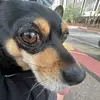 William Easley - @william.easley - TikTok
