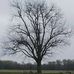 William J. Easley Farm - Facebook