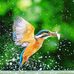 William Eastwood - Facebook