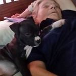 William Eberhardt Sr - @eberhardtsr - Instagram