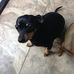 William Echols - Facebook