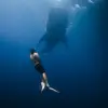 eddywilliamss - @eddywilliamss - TikTok