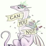 William Ede - @short_on_breath - Instagram