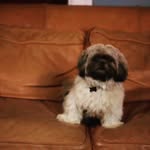 @william_edelstein - Instagram