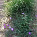 William Edelstein - @willedel - Instagram