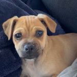 Billy - @william_egbert_carlos_phoenix - Instagram