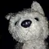 will egbert - @willegbert3 - TikTok