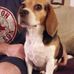William Egbert - Facebook