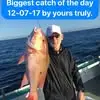 William Egbert - @william.egbert2 - TikTok