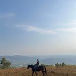 William Haeger - @williamhaeger - Instagram
