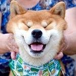 KOᖇᕮᗩᑎ - @eichler.william - Instagram