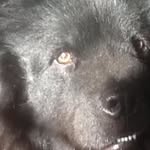 William B Eichler - @wbeichler - Instagram