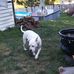 William Eichler - Facebook