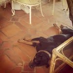 William Eide - @coraftto - Instagram