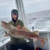 William Eisenhardt - @william.eisenhard - TikTok