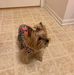William Eisenmenger - Facebook