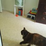 William Ekberg - @william.ekberg.54 - Instagram