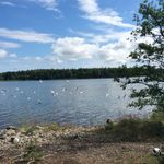 William.ekberg - @william.ekberg7883 - Instagram