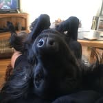 @williameley - Instagram