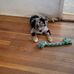 William Engstrom - Facebook