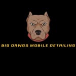 William Elijah Saulsberry/Tyler Langston Martin - @bigdawgs.mobiledetailing - Instagram