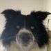 William Elms - Facebook